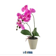 Informa Bunga Plastik Artificial Orchid 7C 11x11x56 Cm Purple