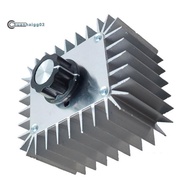 .AC 220V 5000W SCR Voltage Regulator Motor Speed Controller Light Dimming Dimmers Thermostat 5000W M