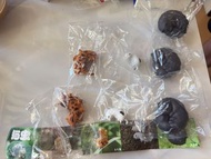 貓蟲 扭蛋 貓咪 昆蟲 造型公仔