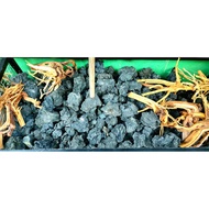 Gia Lai black stone - Beautiful Super Van Aquarium Setup in all sizes