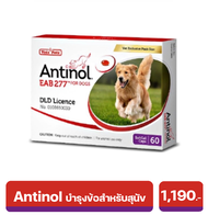 Antinol อาหารเสริมบำรุงข้อสำหรับสุนัข 1กล่อง บรรจุ60เม็ด เลขทะเบียนอาหารสัตว์ 0108550014