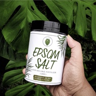 Epsom Salt [IMPORTED] Multipurpose Plant Booster / Water Soluble Fertilizer (500g) For Aroid / Flower / Fruit Tree