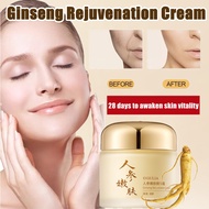 OGULIA Ginseng Anti-Wrinkle Rejuvenation Cream 60g Reduce facial fine lines enhance skin elasticity