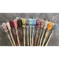 Bunny Tail dried flowers Larugus dried flower/s bunny tail dried flowers plastic flower/s 10 stems