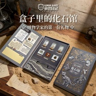 Simba Diary Clover Fossil Specimen Box Archaeological Excavation Toy Ammonite Children Science Educa