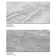 ROMAN GRANIT GRADE A 120X60 dPANTHEUM