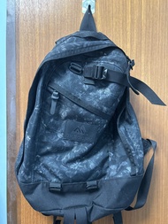 Gregory Backpack