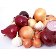 bawang besar pakistan / bawang kecil india / bawang rose