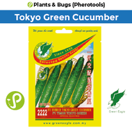Green Eagle Seeds 2222 F1 Hybrid Tokyo Green Cucumber Seeds  ( Benih Timun Tokyo Hijau) (Pherotools Seeds)