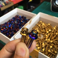 Titanium and gold skru size 10/12(20mm)