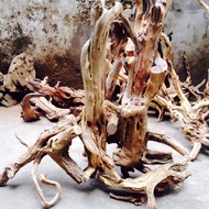 Fir driftwood root for aquarium setup 500g