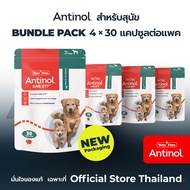 (Official Store) แอนทินอล Antinol® EAB 277 Bundle Pack 4 กล่อง (120 Capsules)