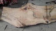 台灣鐵杉桌板料，是水料，尺吋202-36-67-57-25-厚6 貨物在彰化市，有裂，有裂，