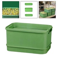 Seed Sprouts Tray Versatile Sprout Planting Container for Kitchen Mung Bean