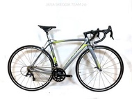 Road Bike carbon Java Skeggia team碳纖維公路車22速