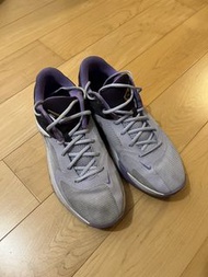 Giannis Nike Zoom Freak 4 Basketball Shoes