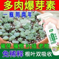 Welcome to Shop, Our Goods Are All Ready stock Like You Can Order Succulent Berries No Dilution Dire