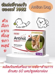 【การจัดส่งที่รวดเร็ว】ผลิตภัณฑ์ใหม่Antinol Dog อาหารเสริมบำรุงข้อสำหรับสุนัข บรรจุ 60 caps / 1 กล่อง