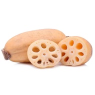 Lotus Root / Akar Teratai