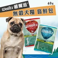 【領卷享免運】Wealtz 維爾滋 ∣嚐鮮包∣ 40g 天然無穀犬飼料 韓國品牌飼料 寵物飼料 狗糧丨【BY97】