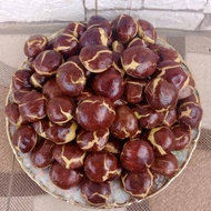 Jengkol Tua mentah pulen super 1kg dan 500gram/jengkol sepi