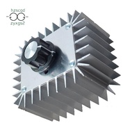 AC 220V 5000W SCR Voltage Regulator Motor Speed Controller Light Dimming Dimmers Thermostat 5000W Mo