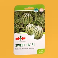 East West Sweet 16 F1 - Watermelon Seeds