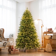 Cây Thông Full Lá PE C67 Cao Cấp Trang Trí Noel Giáng Sinh - Cây Thông Decor Giáng SinhNoel TTNTSS07