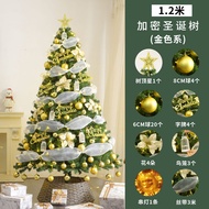 ต้นคริสต์มาสขนาดใหญ่ พร้อมของตกแต่ง 1.2-3 เมตร Large ribbon Christmas tree luxury with decorations 1
