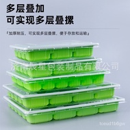 Disposable Dumpling Box Thickened Transparent Quick-Frozen Dumpling Box with Lid Cooked Dumpling Tray Takeaway Packing B