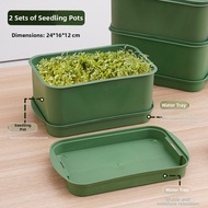 Large Capacity Bean Sprout Germination Tray