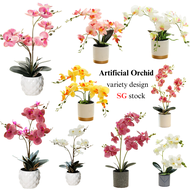 Artificial Orchid Miniature Orchid Plant Pot Table Plant Decoration Fake Flower Plant For Home Office