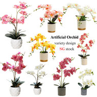 Artificial Orchid Miniature Orchid Plant Pot Table Plant Decoration Fake Flower Plant For Home Offic