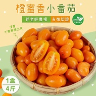 【禾鴻】 郭老師農場有機認證橙蜜香小番茄禮盒4斤x1盒(淨重不帶蒂頭出貨)【預購】