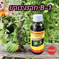 PENGGALAK AKAR VITAMIN B-1 (ACIDAMINO)