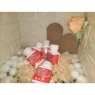 Bio Belut Putih Ori | 20 biji