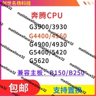 G3900 G4560  G4600  G5420  G5400 G5620  4900  G4930處理器CPU