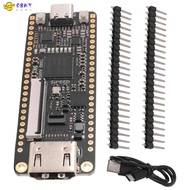 Nano 9K FPGA Development Board  GW1NR-9 RISC-V -Compatible