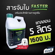 สารจับใบ FASTER เสริมประสิทธิภาพการดูดซึม (แกลลอน 5 ลิตร) + เสื้อฟรี 1 ตัว