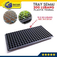 Tray Semai 200 Lubang Bibit Benih Hidroponik Tebal Traypot Trai Pot Cabai Cabe Rawit Bunga Anggrek