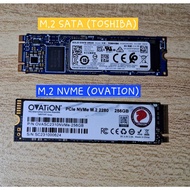 SSD M2 SATA NVME 256GB Win 11 Pro
