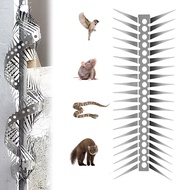 1meter Anti Rat Anti Snake Climb Spike Stainless Steel Bird Deterrent Bird Spike for Prevent Squirre