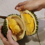 Tasty Eats| Durian BlackThorn Ochee Duri Hitam UTUH FROZEN bukan Musang King Terlaris Langsung Cekou