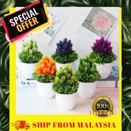 ARTIFICIAL PLANT MINI PLANT FEJKA PINES PLANT INSPIRED IKEA RUMPUT POKOK BUNGA HIASAN NORDIC RUANG T