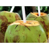 BUAH KELAPA MUDA (FRESH COCONUT) FRESH DARI KEBUN SENDIRI..4 pcs  rm 22
