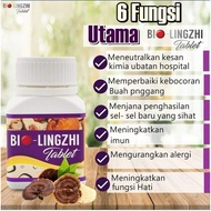 Ready Stock Bio Lingzhi 100 tablets