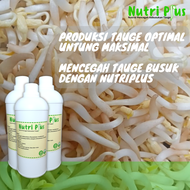 Nutrisi Tauge Anti Busuk NutriPlus