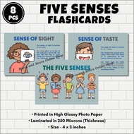 THE FIVE SENSES FLASHCARDS FOR KIDS | Laminated Educational Five Senses Flashcards for Teaching Kids
