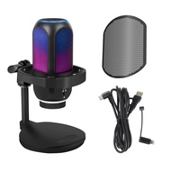 APK001 Condenser Microphone Computer Game AI Noise Reduction Mobile Phone Recording Dubbing Live Str