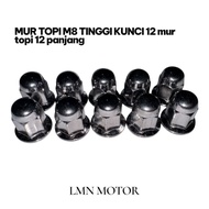 10 pcs m8 high cap nuts key 12 long cap nuts m8 nut m8 bolt and nut